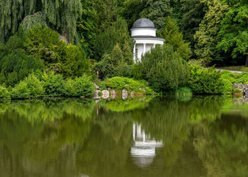 Scenic view of lake by trees and plants