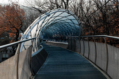 Footbridge over footpath amidst bare trees