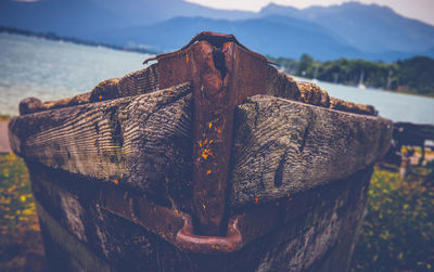 Close-up of damaged tree stump