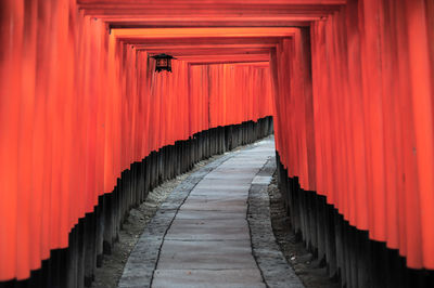 View of empty fushimi inari torii gates without visitors. 