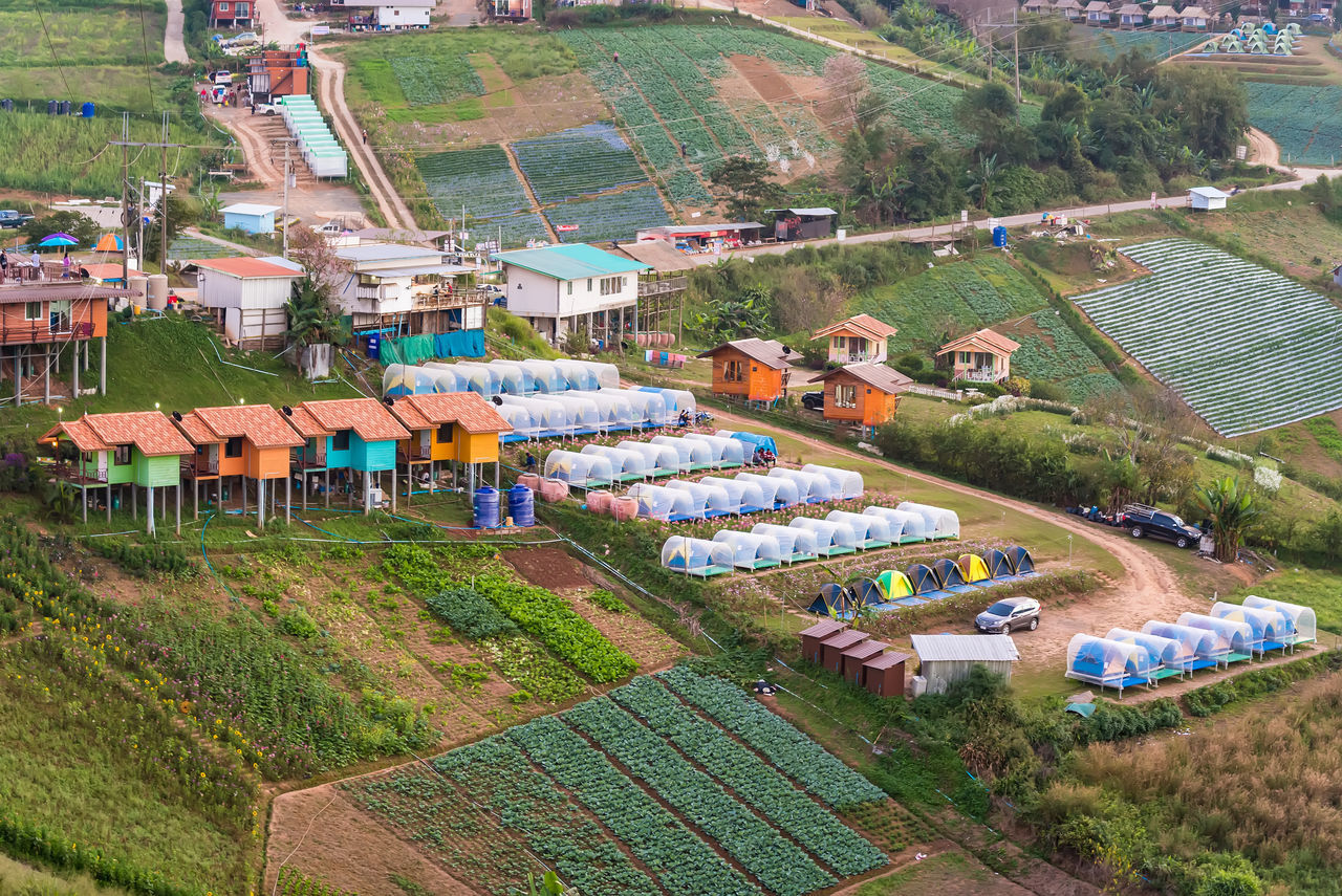 HIGH ANGLE VIEW OF HOUSES AND BUILDINGS IN CITY