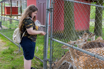 Side view of girl feeding deer at zoo