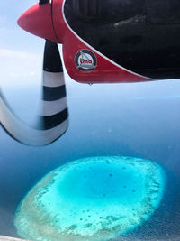 Close-up of airplane in swimming pool