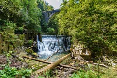 Scenic view of waterfall in forest