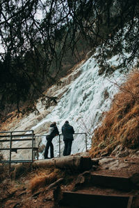 Rear view of men standing by railing in forest