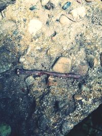 High angle view of old cigarette on rock