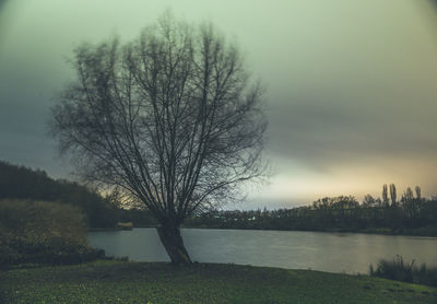 Bare tree by lake against sky