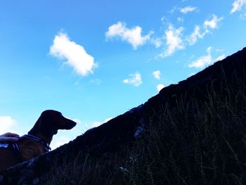 Low angle view of silhouette person against sky