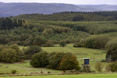 Scenic view of trees on field