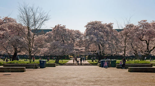 View of park against clear sky