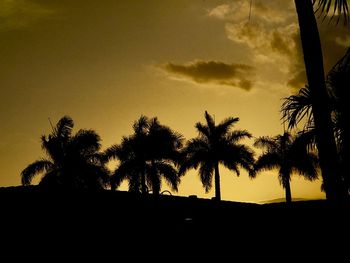 Low angle view of silhouette trees against sky