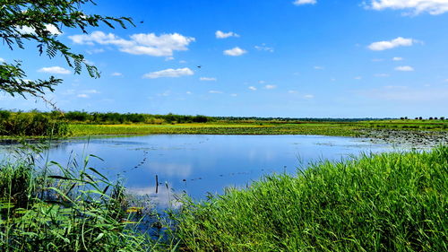 Scenic view of lake against sky