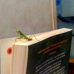 Close-up of open book on table