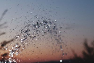 Close-up of water splashing against sky during sunset