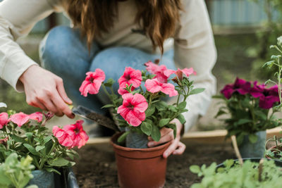 Midsection of woman picking flowers