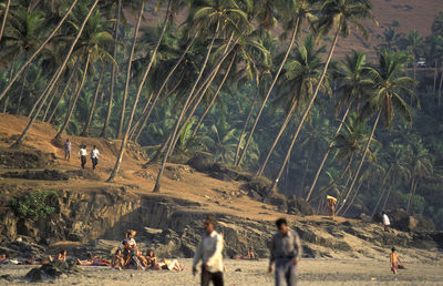 People walking on field