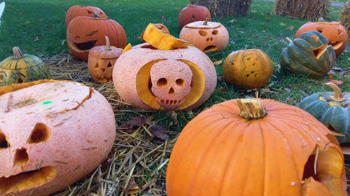 Close-up of pumpkins on field