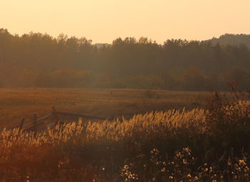 Scenic view of landscape at sunset