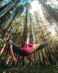Low angle view of man relaxing on hammock in forest