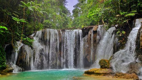 Scenic view of waterfall in forest