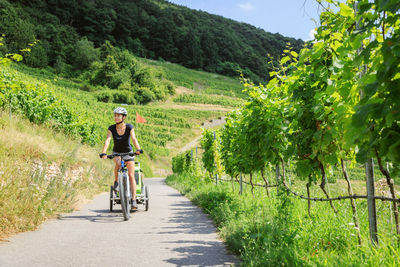 Man riding bicycle on road