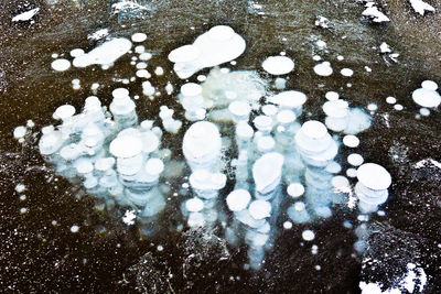 Close-up of water drops on white background