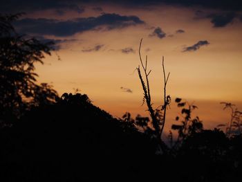 Silhouette trees against sky during sunset