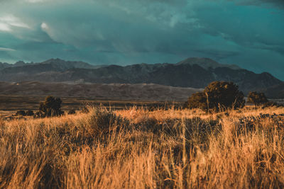 Great sand dunes national park, sand, dunes, mountain range