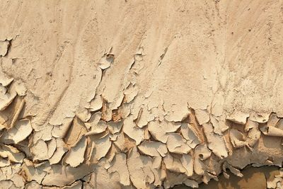 Full frame shot of wall