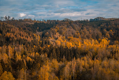 Trees on landscape against sky during autumn