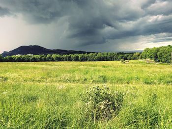 Scenic view of field against cloudy sky