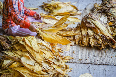 Close-up of dry leaves for sale in market