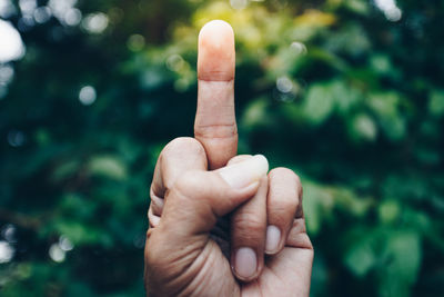 Close-up of cropped hand showing obscene gesture