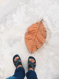 Low section of man standing by autumn leaf