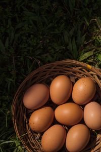 High angle view of eggs in basket