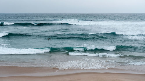 Scenic view of beach