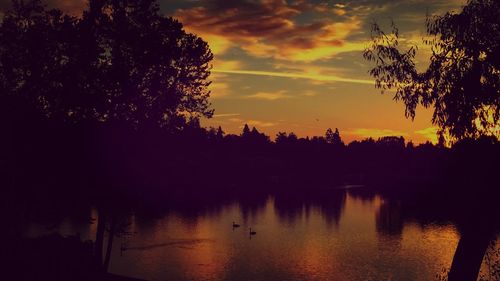 Silhouette of trees at sunset