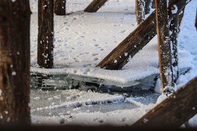 Close-up of frozen water