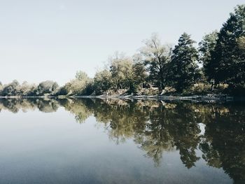 Reflection of trees in calm lake