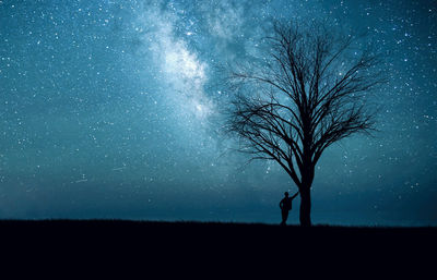 Low angle view of silhouette trees against star field