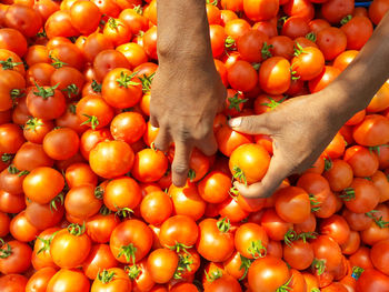 High angle view of tomatoes for sale at market stall