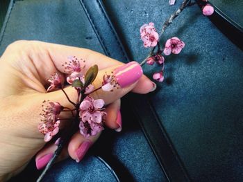 Cropped hand holding flower over bag