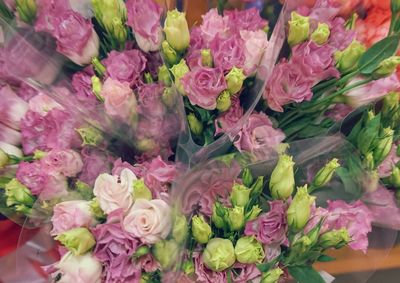 Full frame shot of pink flowers