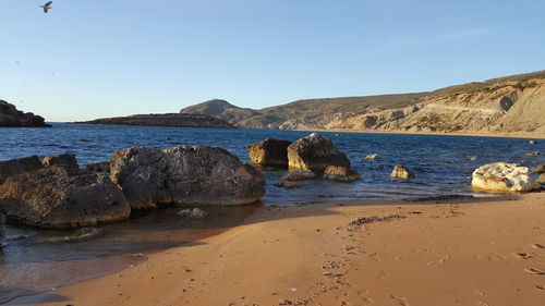 Scenic view of beach against clear sky