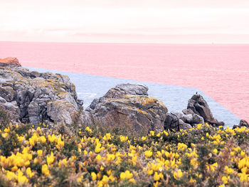 Scenic view of sea and rocks against sky