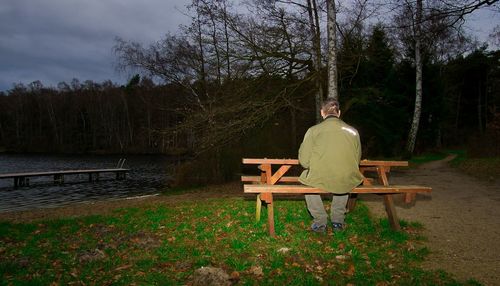 Rear view of man sitting on bench by lake