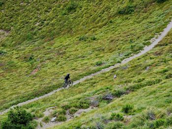 Rear view of man riding bicycle on the mountain