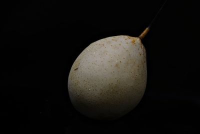 Close-up of fruit over black background