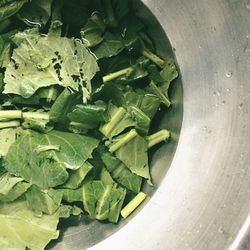 High angle view of chopped vegetables in bowl