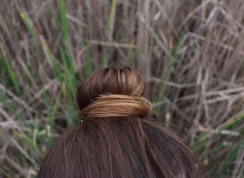 Close-up of woman hair